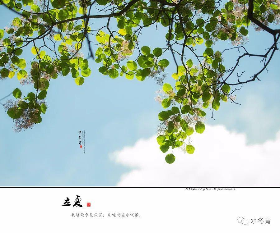 吴藕汀《立夏诗画》四月春去,五月夏来,花褪残红,青杏小小,倏尔