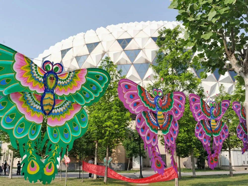 2020濮阳首届风筝文化艺术节完美收官