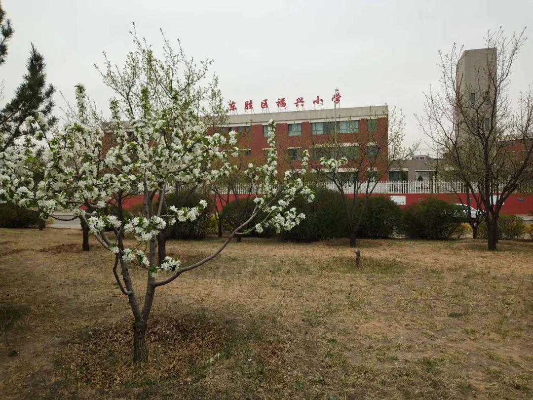 严密防控疫情稳步提升质量福兴小学开学工作会议