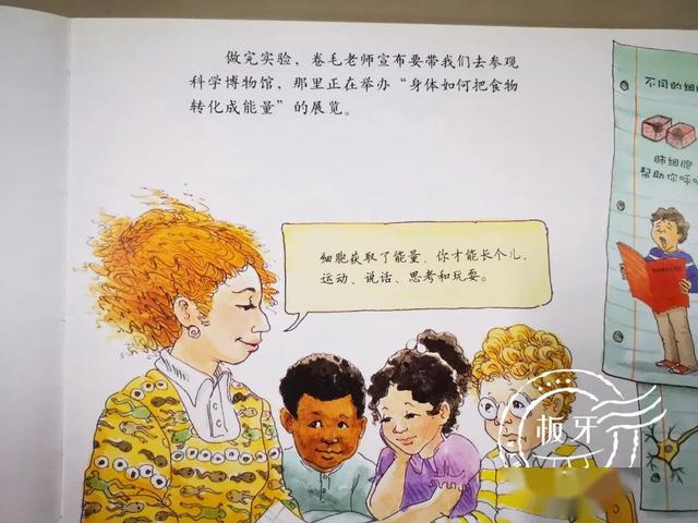 所以,卷毛老师提出要带他们去科学博物馆参观,孩子们即将坐上神奇校车