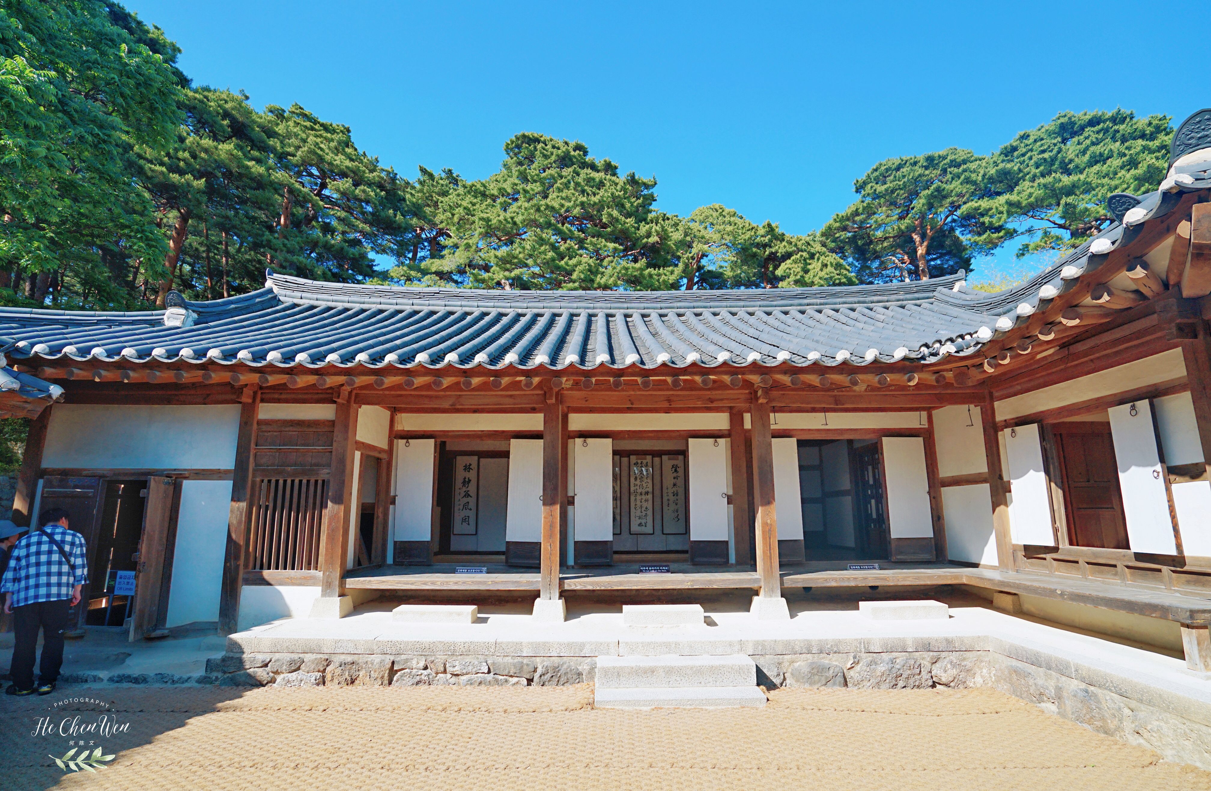 原创江原道著名景点韩国最贵女人的故居因遍布深色竹子得名