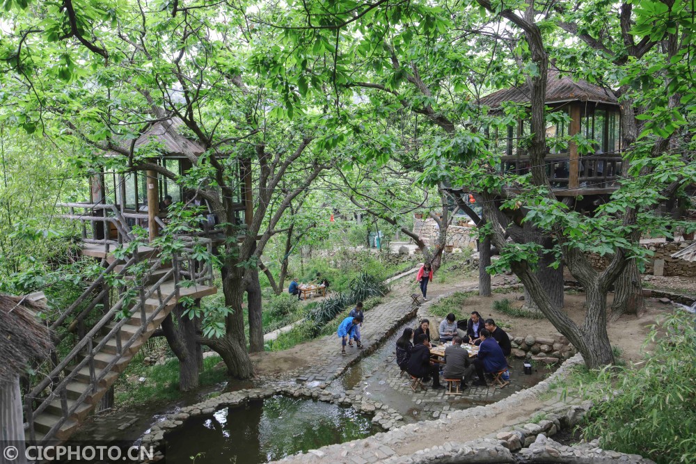 山东临沂树上餐厅富山村