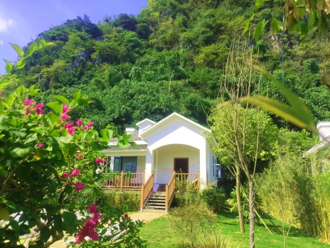 就在清远市区附近这8家让人恍若梦中的民宿真的美爆了