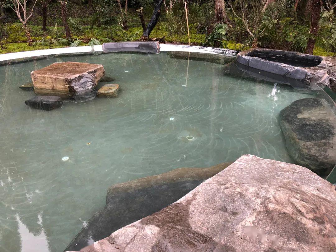 清泉池大地上的任何一块石头,都有自己的呼吸,自己的感情.