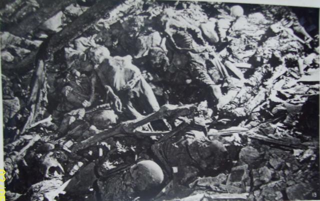 1938年真实的鬼子进村,将女孩丢进火里烧死,也有人反抗逃跑