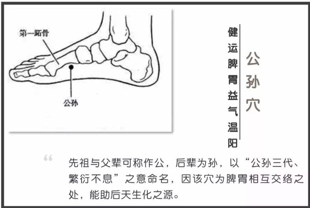 公孙的准确位置与功效图片