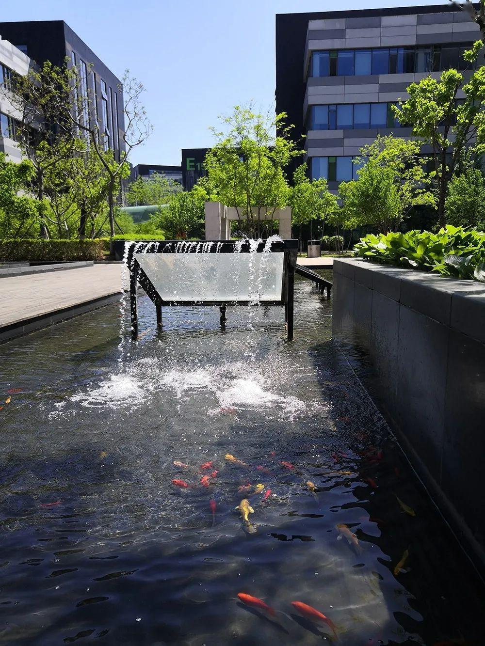 小水景大智慧园区这一打卡景观还不赶紧去感受一下