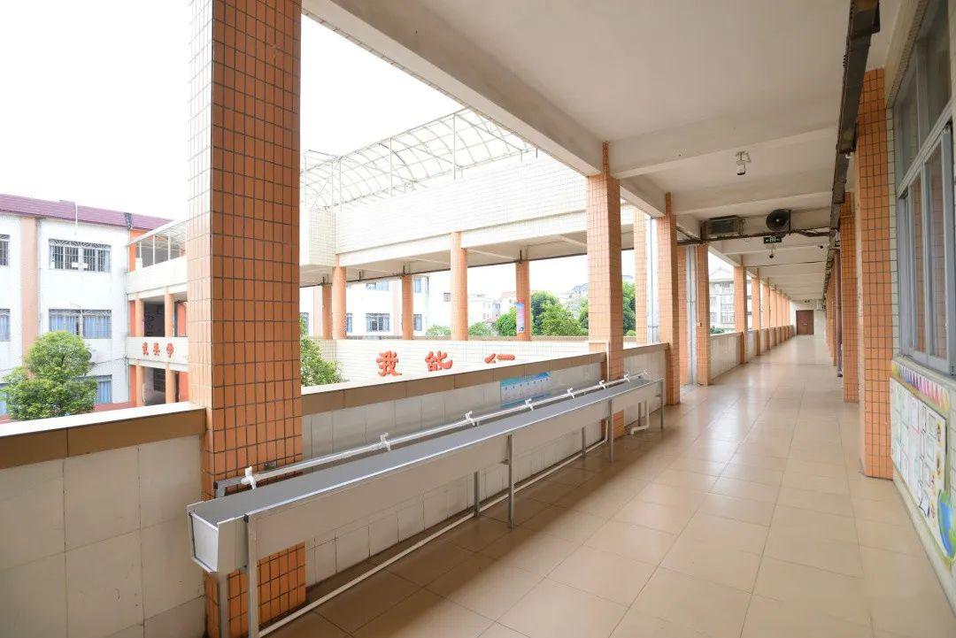 老师觉得,五月骄阳下的星槎小学校园最美!花已开,夏初至.