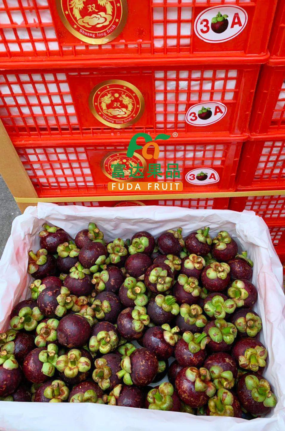 zui好吃的水果来了黑加仑青提红提每串都水当当还有q脆的红肉菠萝蜜