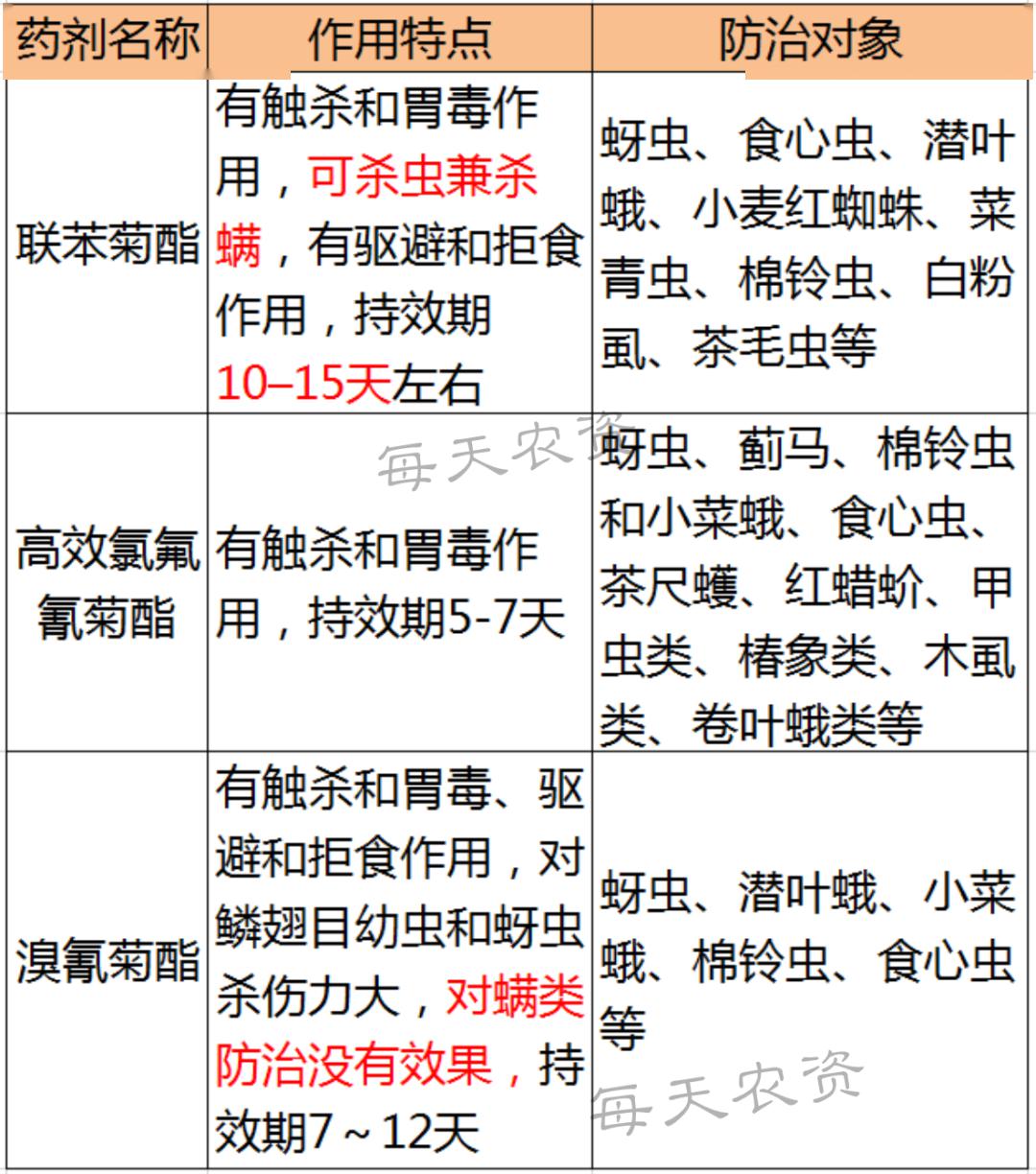 5月虫害高发期联苯菊酯杀虫迅速3大特效必了解