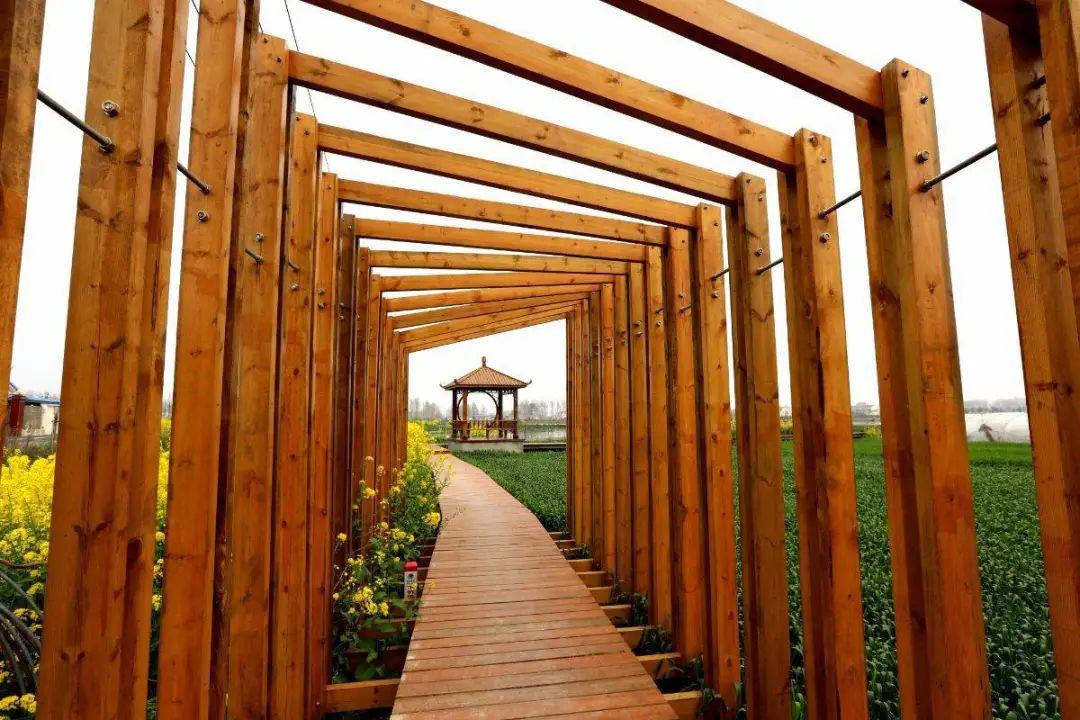 省级特色田园乡村黄庄圆你一个归园田居的梦