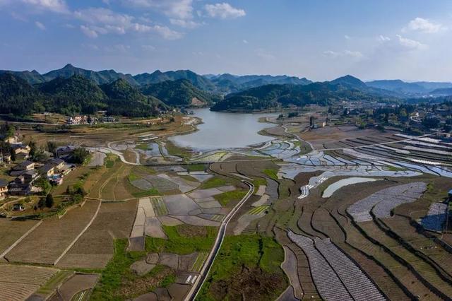 摩尼仙草湖图片大全图片