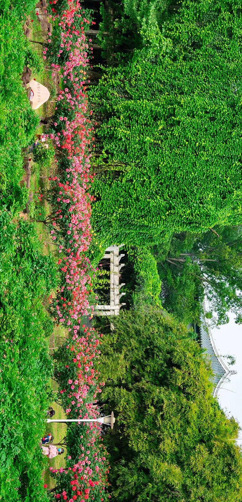桂子山月来越好季往开来