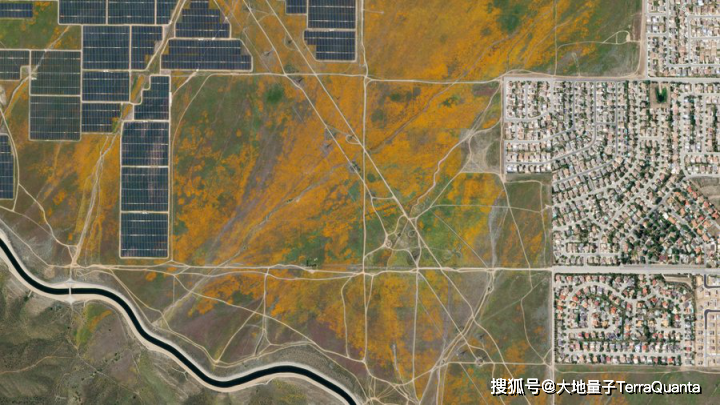 卫星遥感ai罂粟花识别美国加州罂粟花爆发