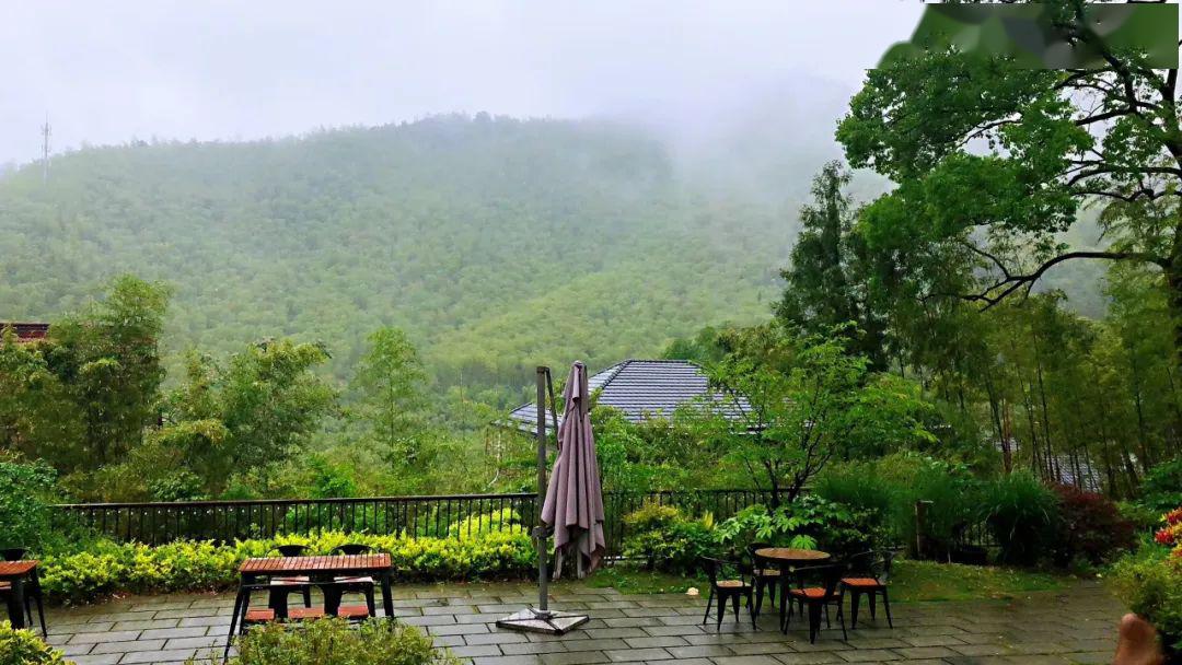 诺力亚时光 | 空山新雨——"下雨下包子下饺子也要参加"的知产部团建