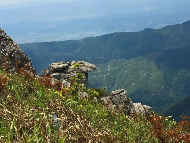 登秋山赏杜鹃