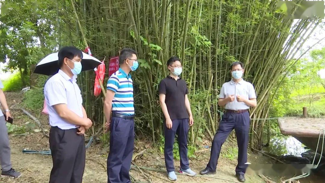 当天,检查组一行先后到南圩镇,雁江镇等乡镇的村委社区及周边水域实地