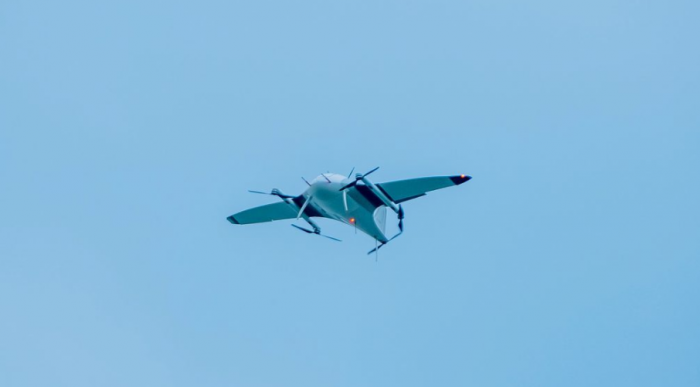 manta ray长1.9米(6.2英尺),翼展3.5米(11.