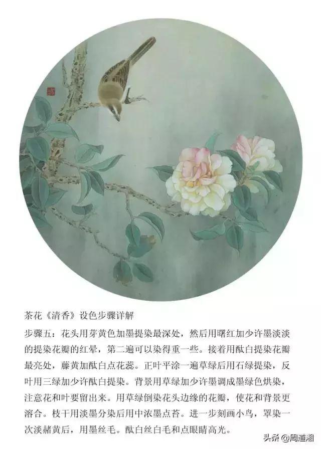 中国画工笔茶花《清香》作品步骤详解