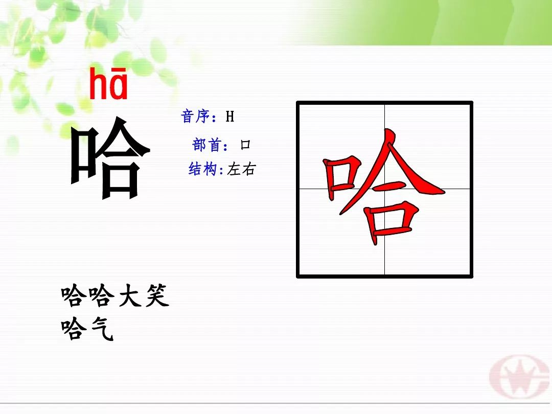 部编版二年级下册课文13画杨桃知识点图文解读