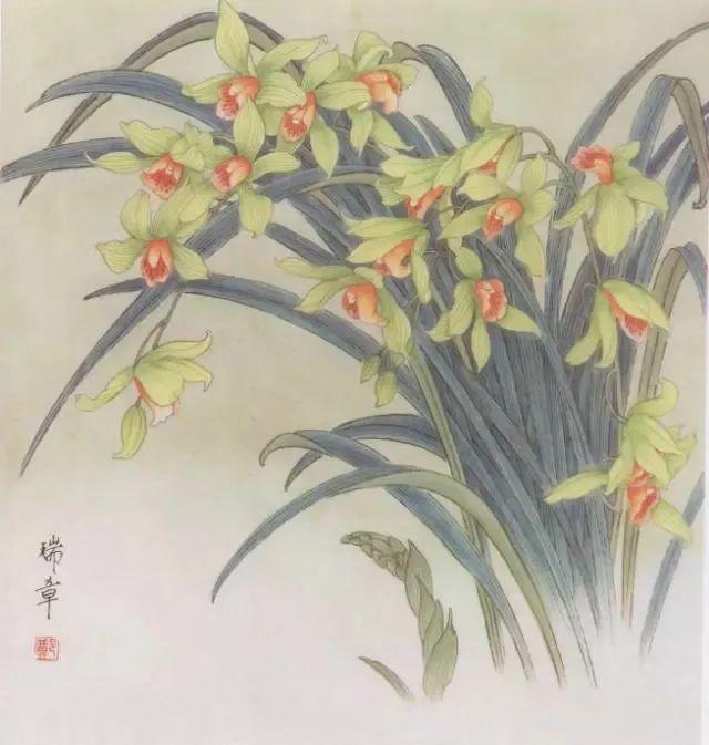 图文教程工笔兰花画法步骤