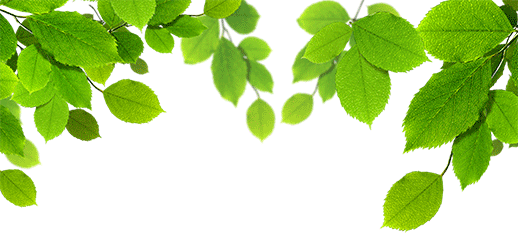 518_241gif 动态图 动图