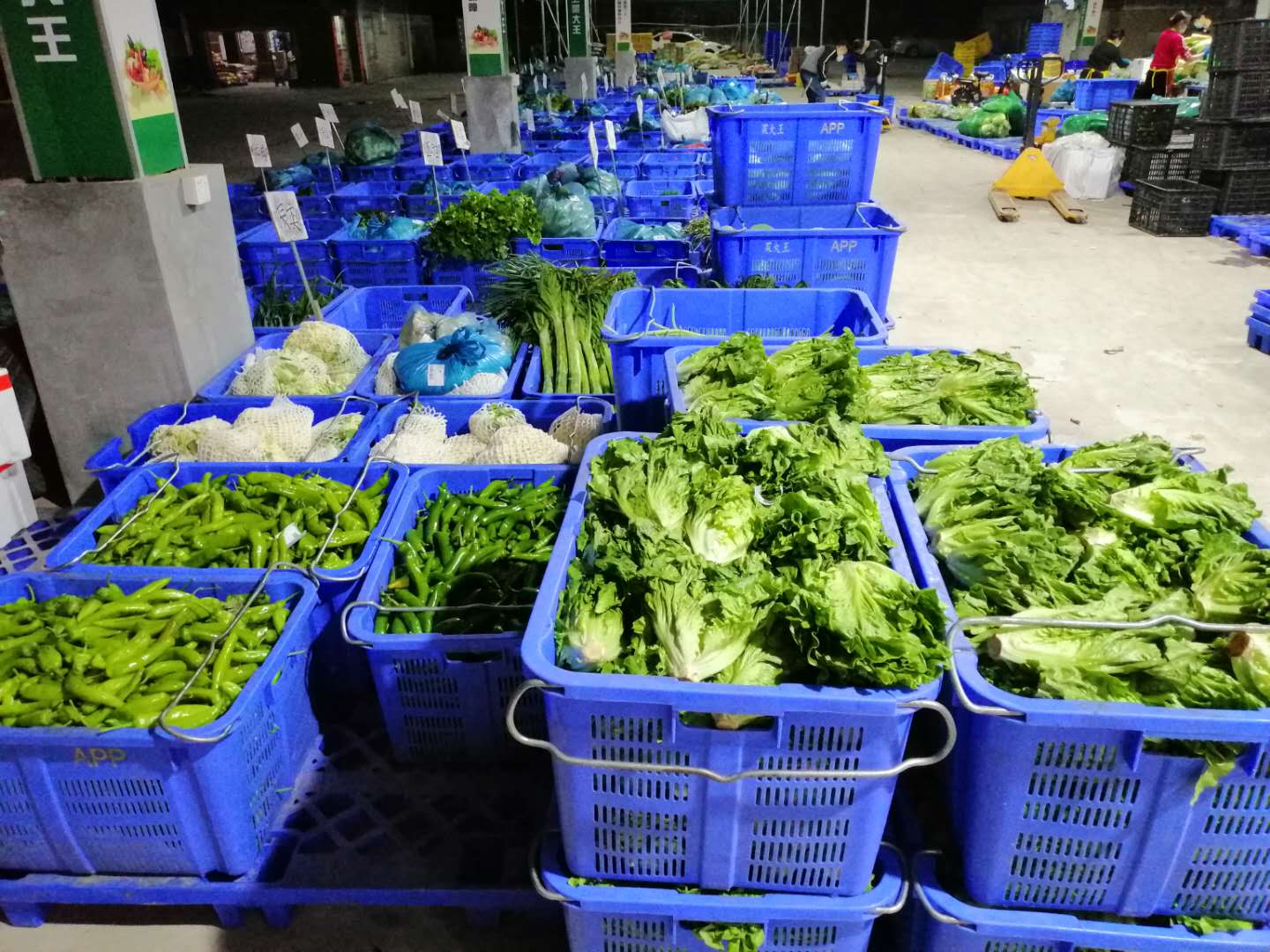"菜大王"横空出世,颠覆传统食堂采购模式!_食材