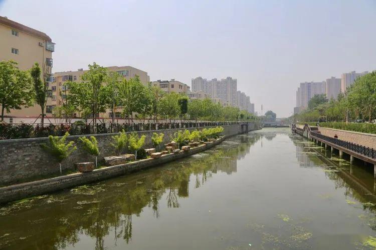 槐荫兴济河周边环境生态提升进入快车道