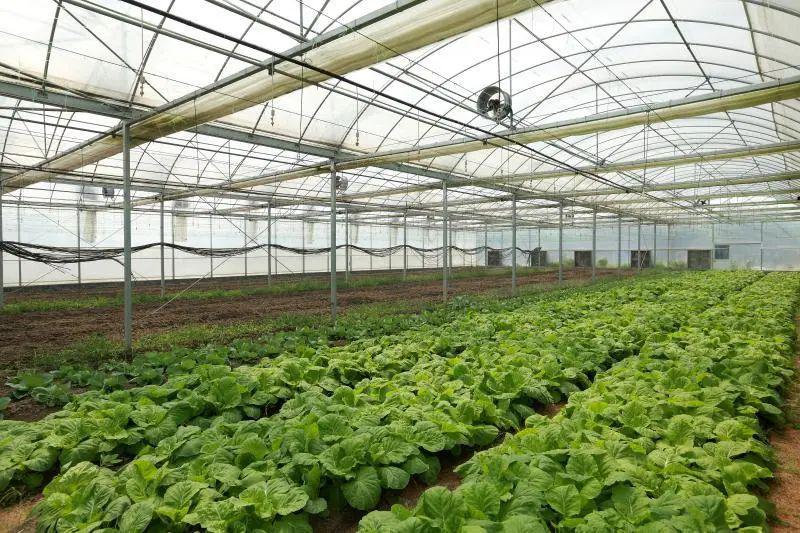 八福农场小编帮你梳理好了别急呀怎么报名呐费用多少八福农业在哪儿呀