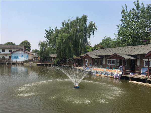 五一很火爆的三圣乡农家乐