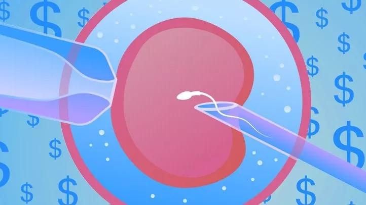 2023下半年武汉供卵试管婴儿助孕价格明细，各医院收费标准已发布