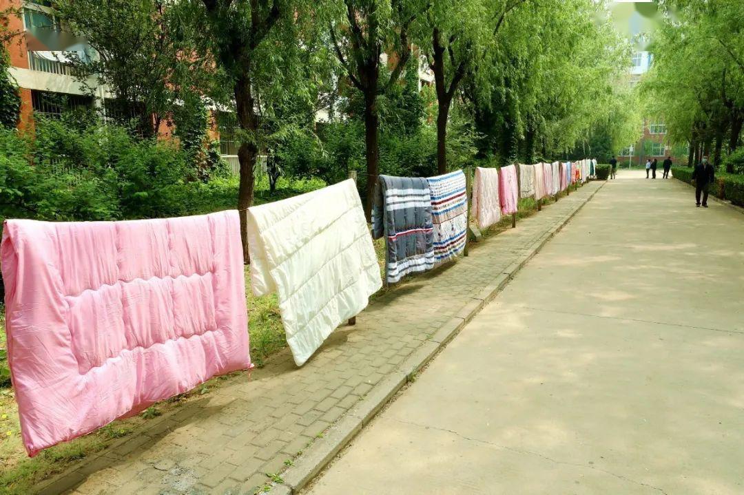 晒被子模式开启再也不用羡慕别人家的学校