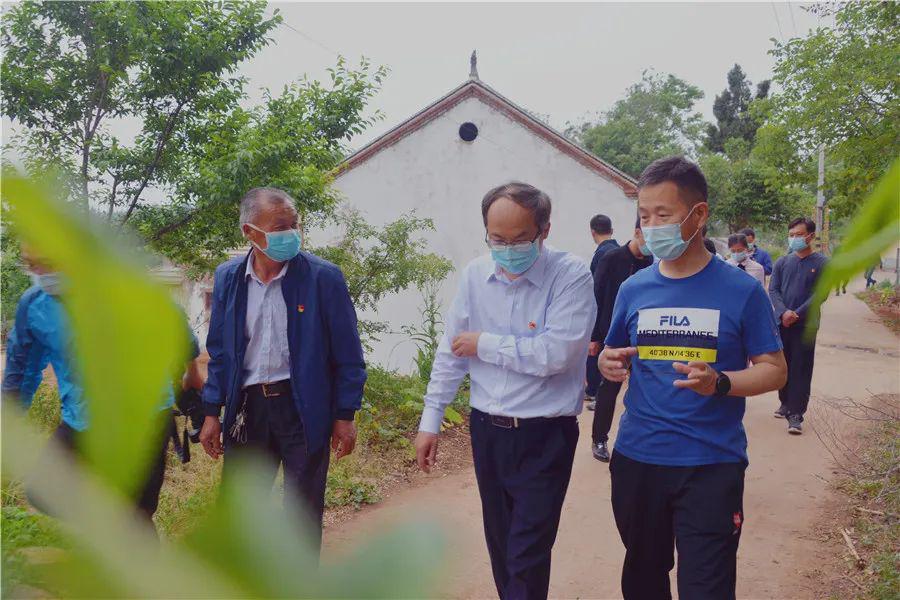 领导调研济源示范区党工委副书记市委副书记李哲调研大峪镇脱贫攻坚