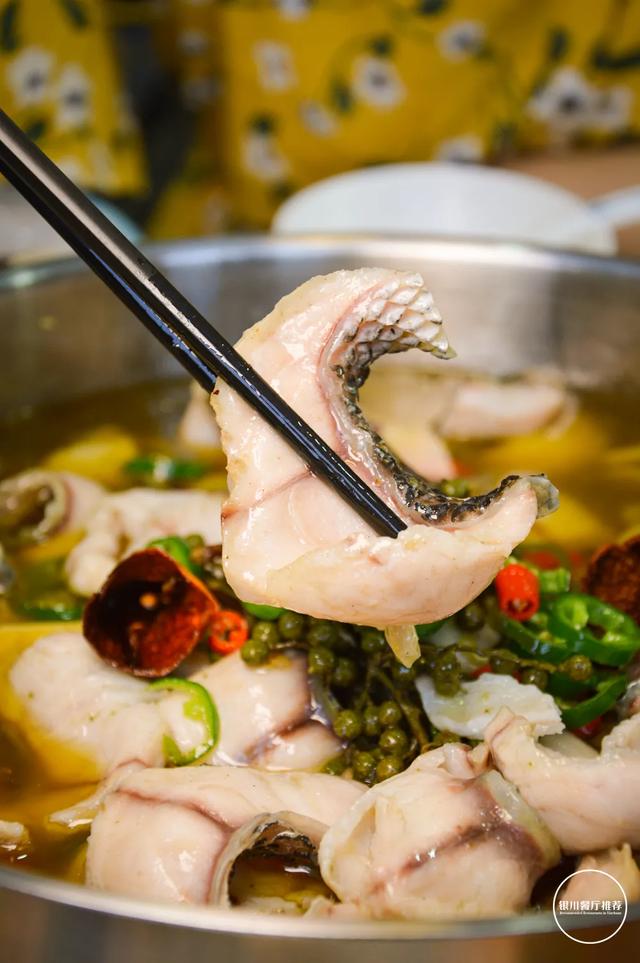 银川最特别的鱼火锅,很亲民