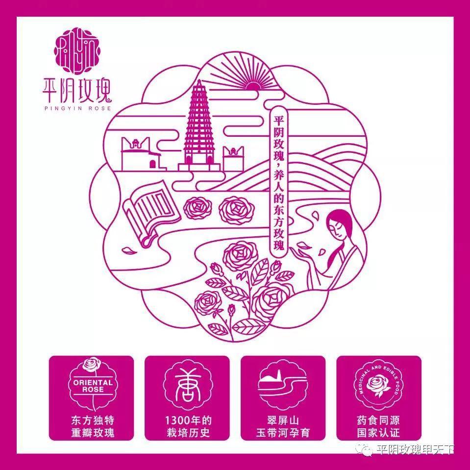 是国家地理标志农产品,目前,平阴玫瑰种植面积高 6 万余亩,品牌价值