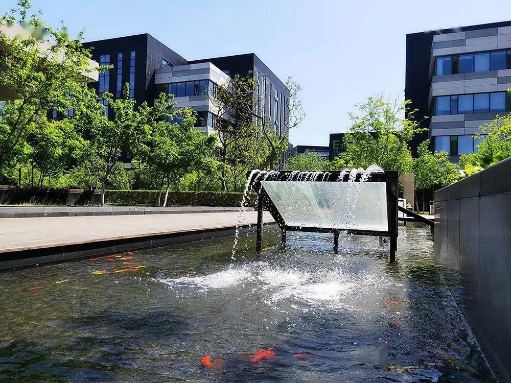 小水景大智慧园区这一打卡景观还不赶紧去感受一下