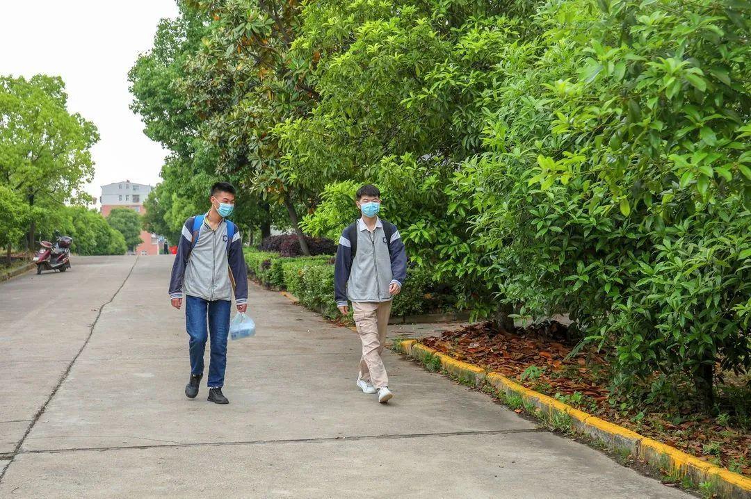 同学,好久不见——直击通山一中高三学生复学第一天