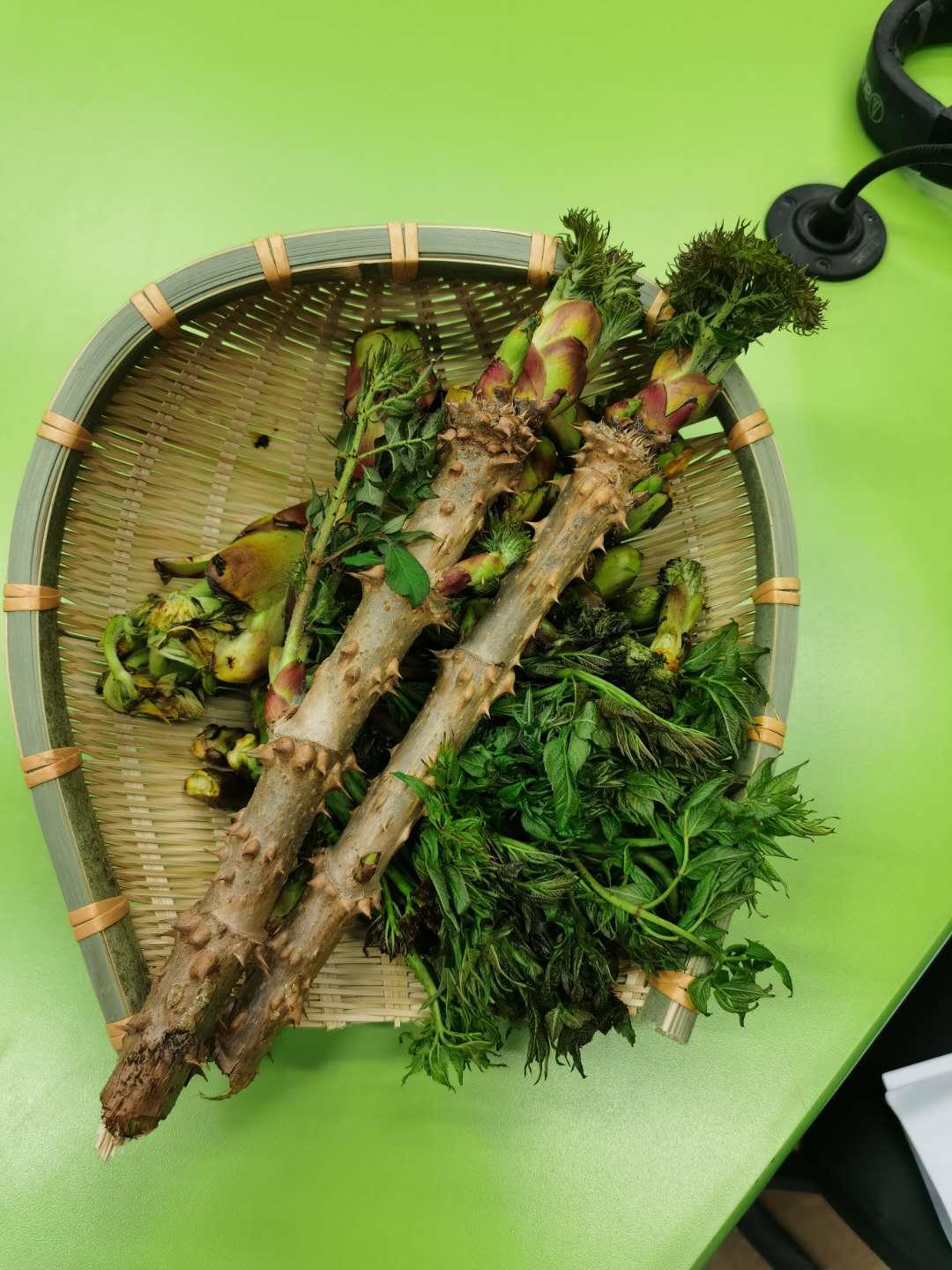 它的"花名"比较多,且分南北,张家川县当地称之为"木榔头",云南一些