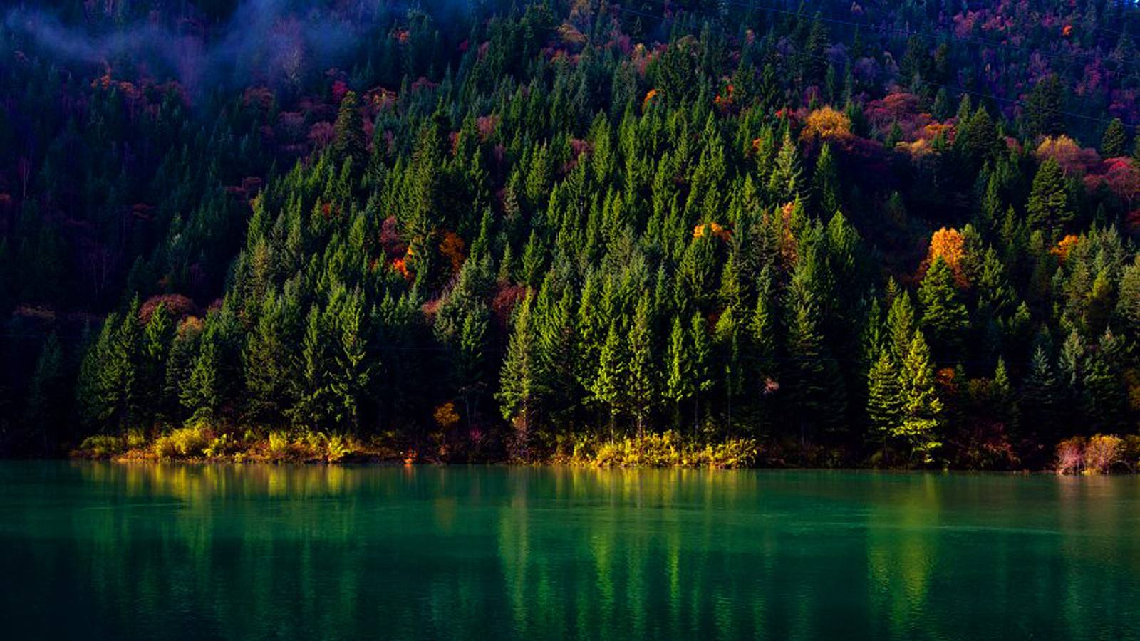 刷经寺森林公园,给你最纯净的空气