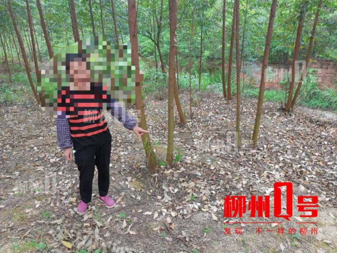 令人发指广西一树林竟藏卖淫窝点12男2女当场被抓还有艾滋病女在接客