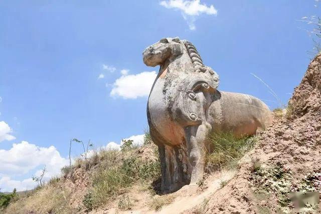 马为什么是历代帝陵石像生中不变的角色