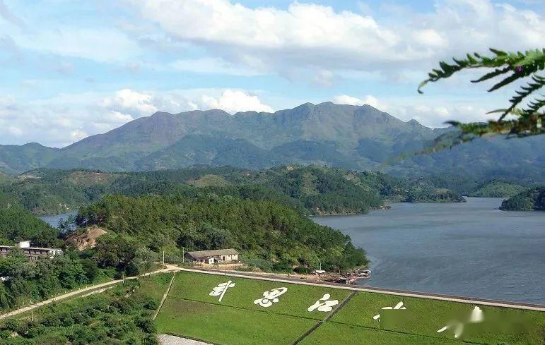 厉害平南这个水库地表水质量状况排名全国第10位