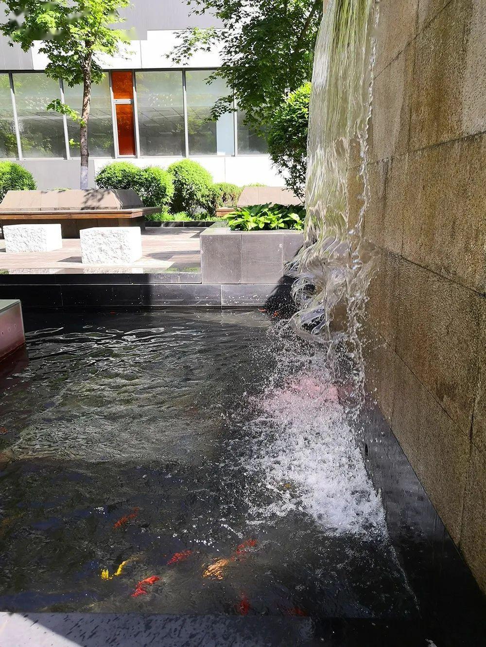 小水景大智慧园区这一打卡景观还不赶紧去感受一下