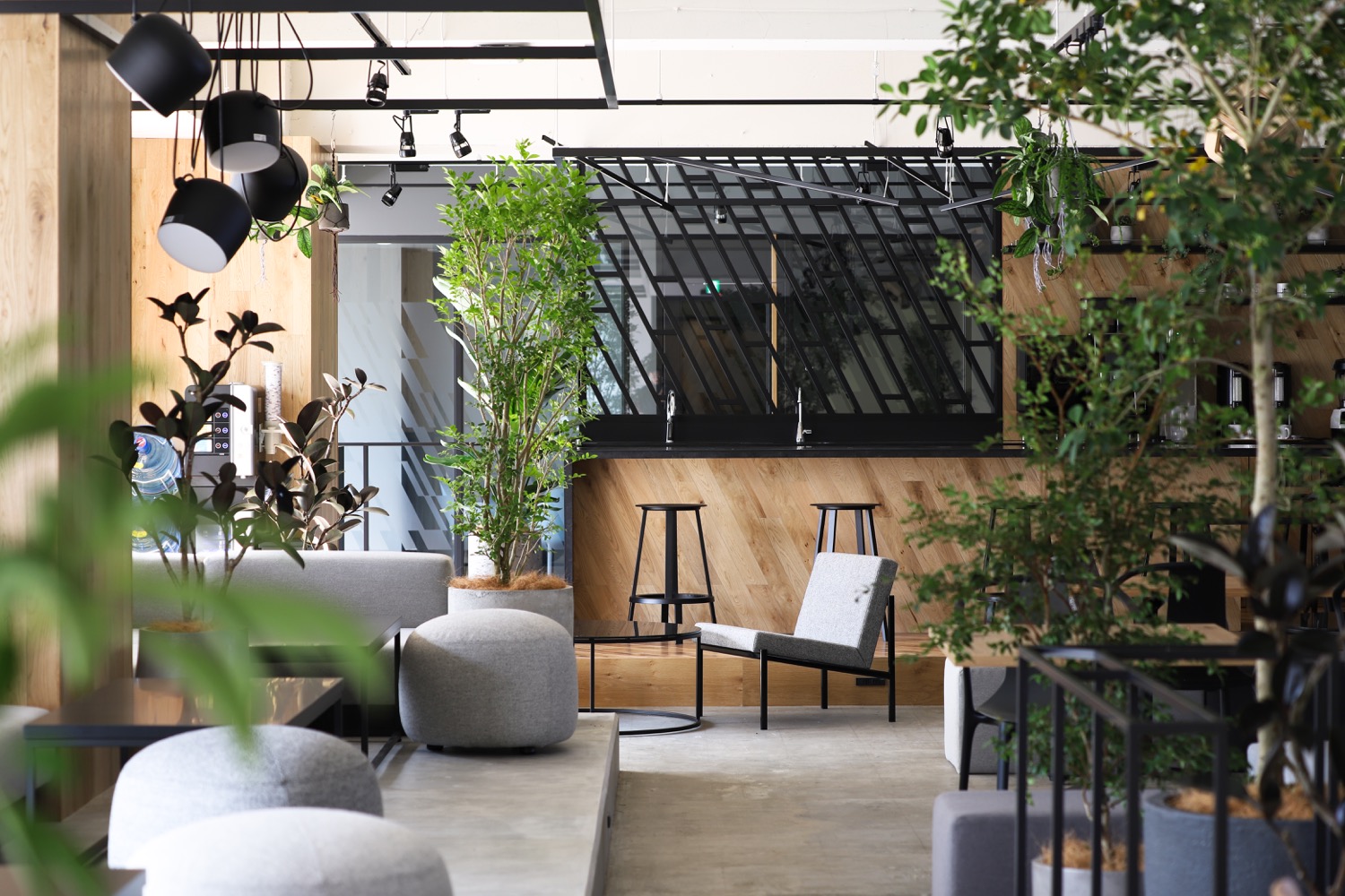 自然绿色东京tbwahakuhodo办公室