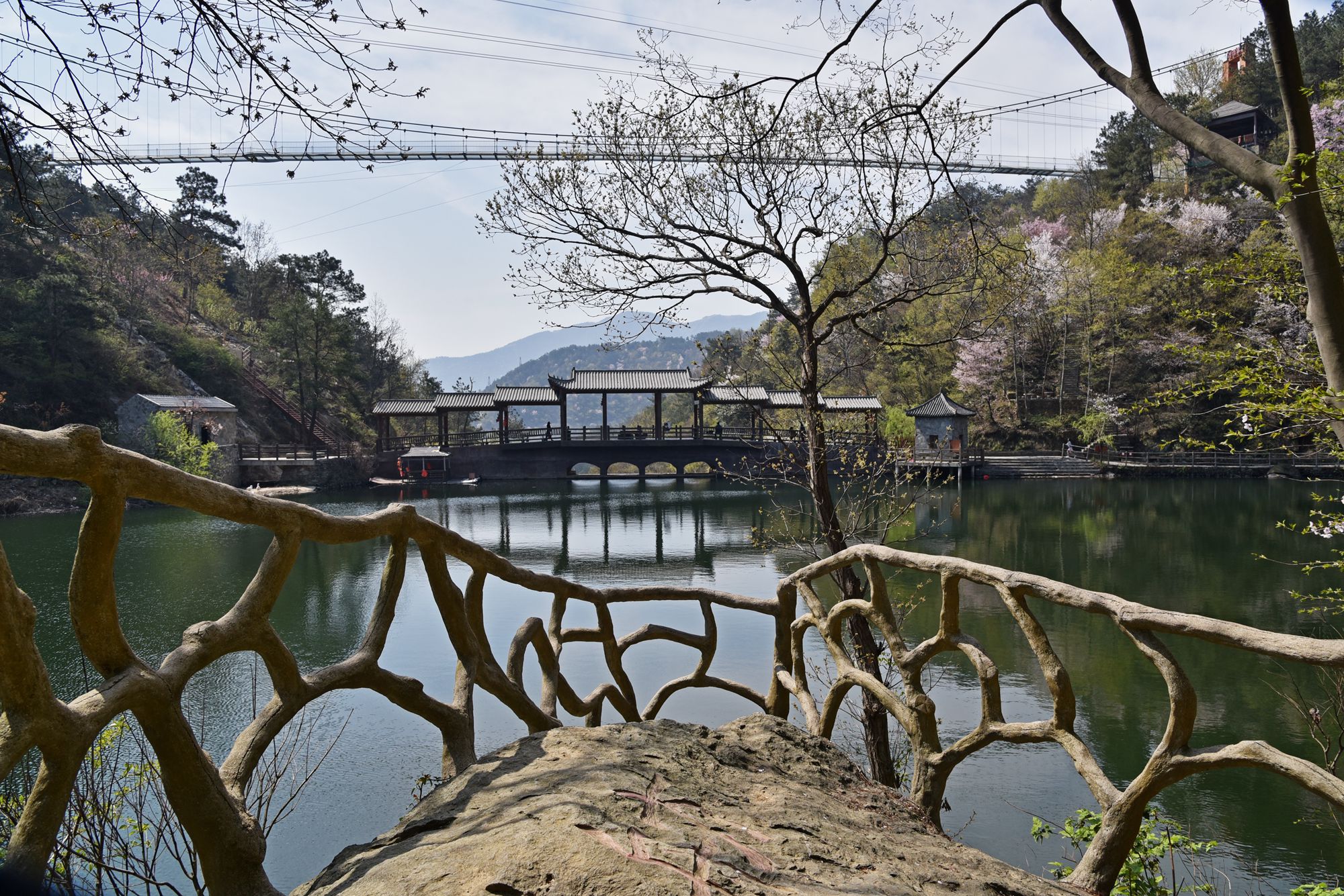 原創錯過了武大櫻花,卻沒錯過武漢的春天,在黃陂清涼寨如願以償