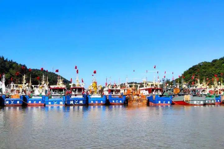 归港休渔洞头东沙渔港百艘渔船返港