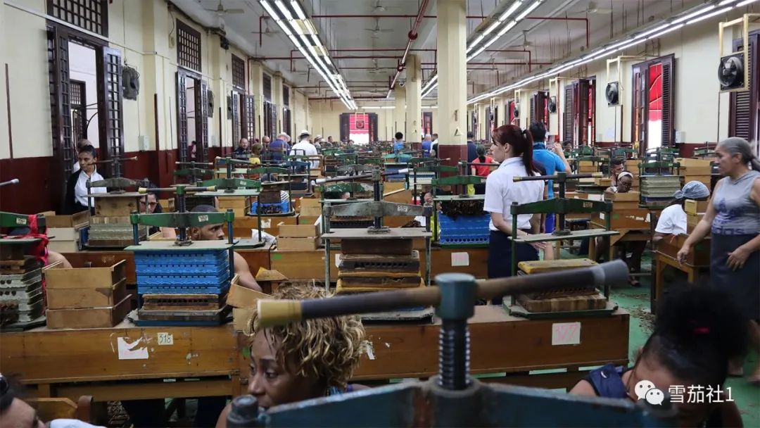 原创帕特加斯工厂也卷高希霸雪茄走进古巴世界之王雪茄工厂