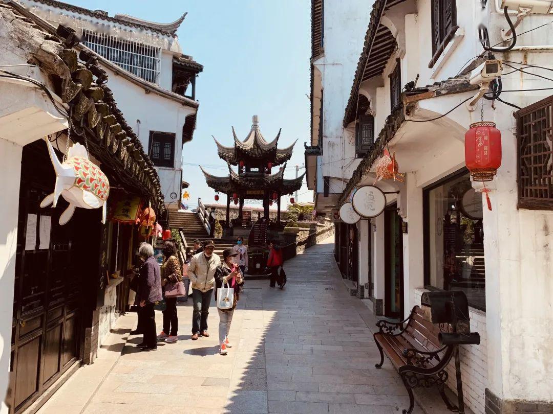 金山如画118元买一送一0自费0购物金山嘴渔村城市沙滩吕巷水果公园一