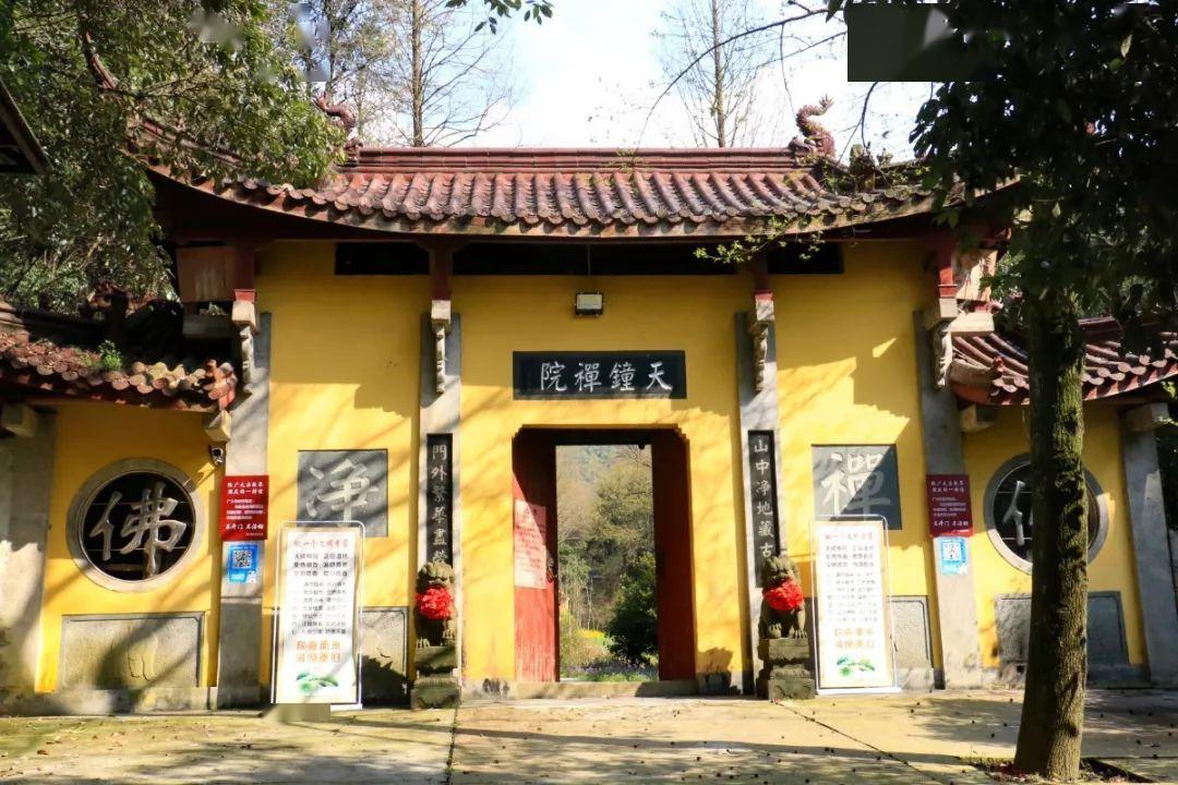 富春山居61味道山乡‖春江印象之盛世太平_天钟山