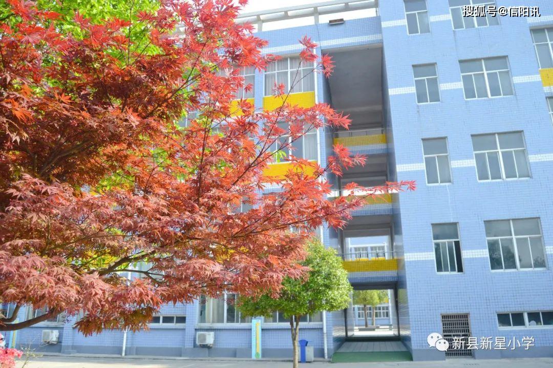 全力筹措复学静待学子归来新县新星小学复学筹备工作纪实